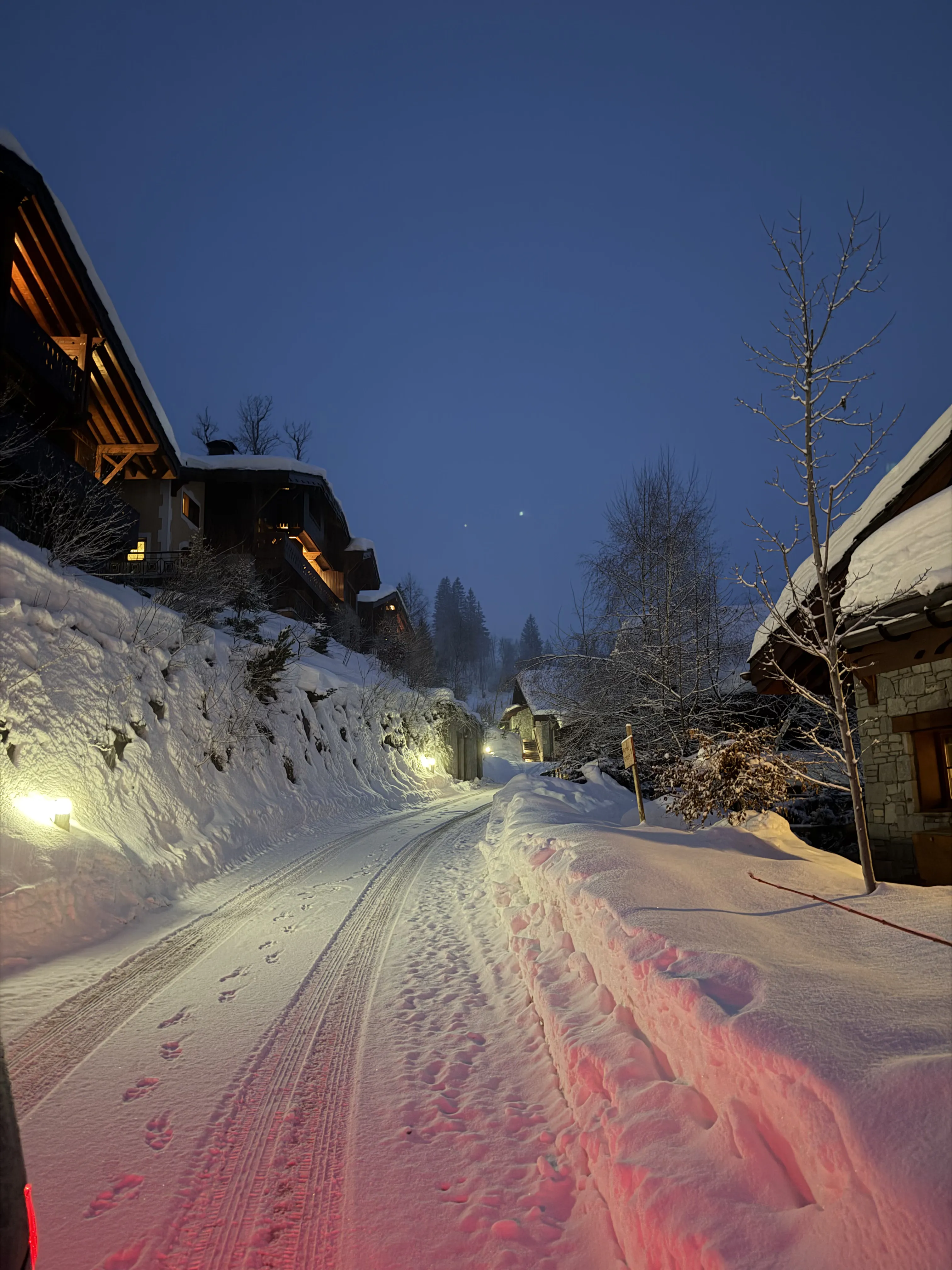 Snowy Cottages in the French Alps